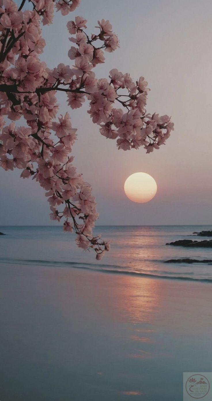 Ảnh hoàng hôn chill