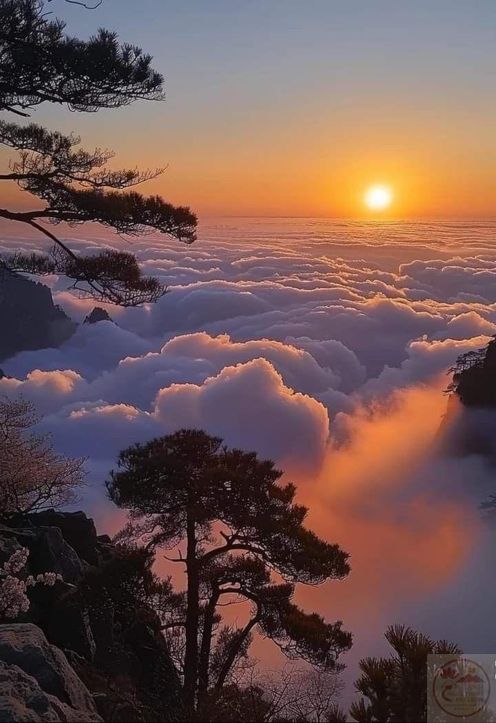 Ảnh hoàng hôn đẹp