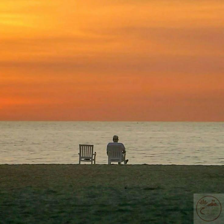 Hình ảnh hoàng hôn cô đơn