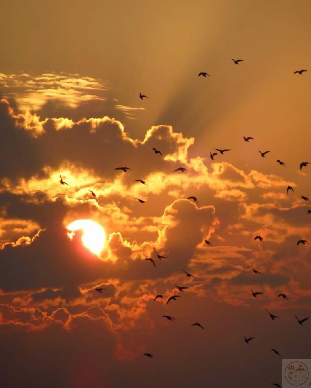 Ảnh hoàng hôn rực rỡ