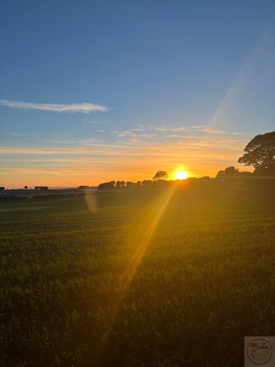 Có khi ký ức tuổi thơ trở lại chỉ bằng một thoáng nghĩ ngợi đơn sơ