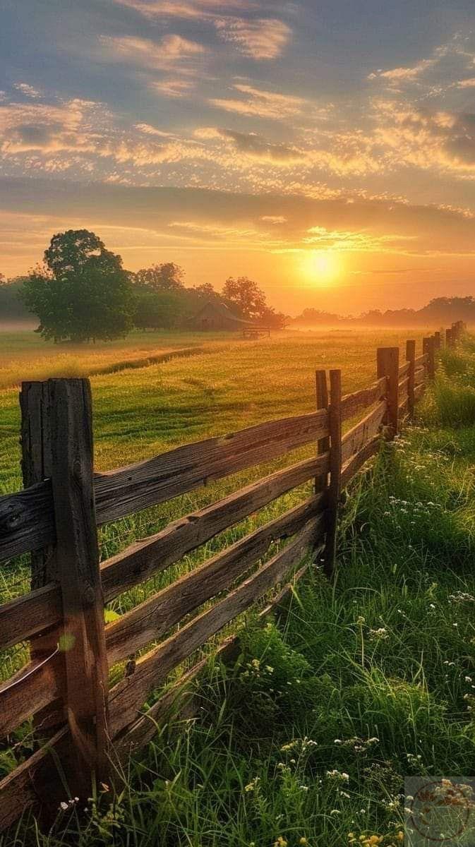 Có lẽ ký ức quê hương luôn là điểm tựa ngọt ngào nhất trong đời