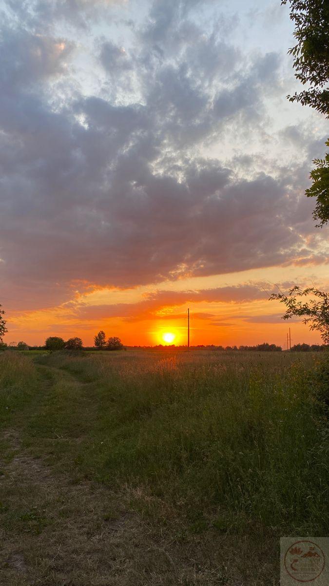 Đủ để nhận ra tuổi thơ vẫn còn vẹn nguyên trong tâm trí mỗi người