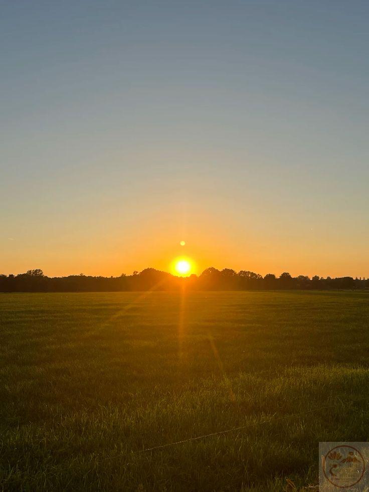 Hình ảnh hoàng hôn trên cánh đồng