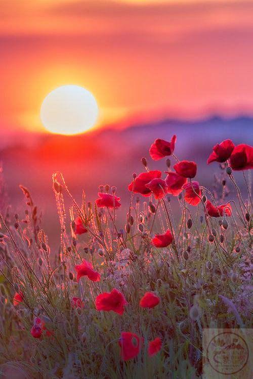 Đôi khi chỉ cần thả lỏng tâm trí là đủ tìm thấy sự an nhiên