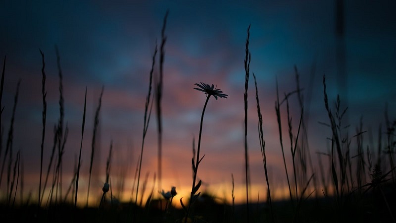 anh-phong-canh-buon-25