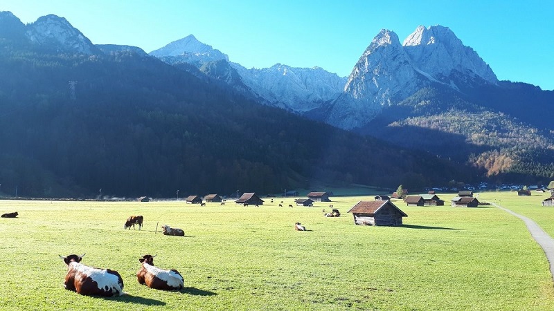 anh-phong-canh-buon-37