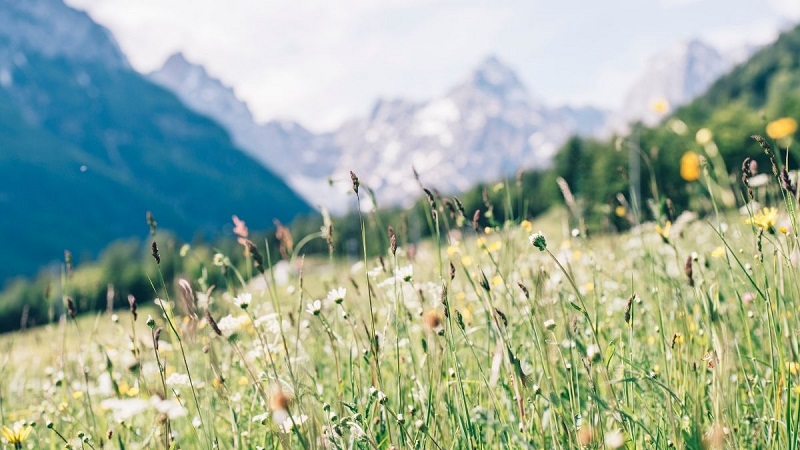 anh-phong-canh-buon-39