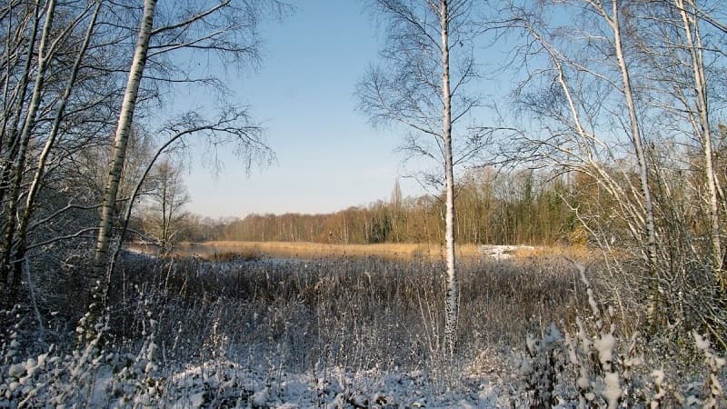 anh-phong-canh-buon-40