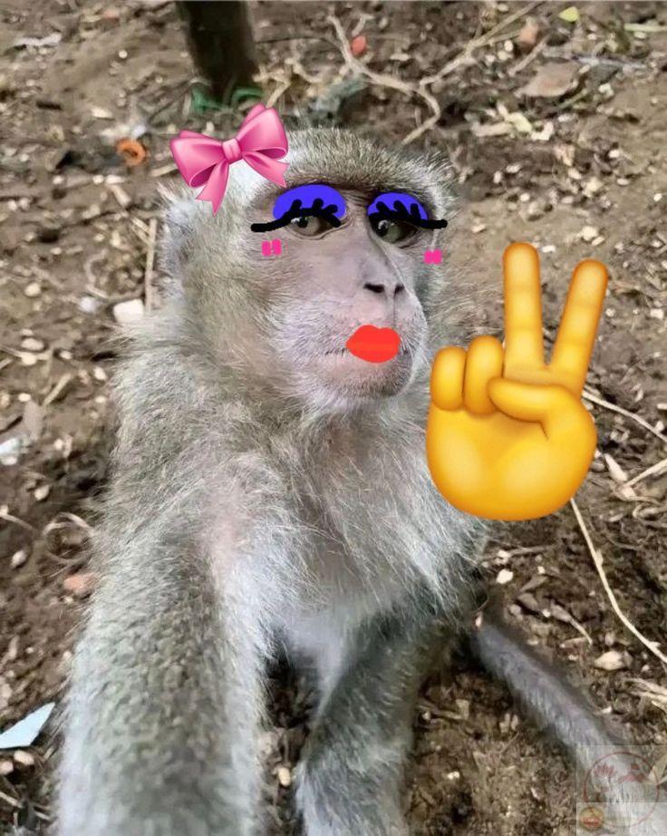 Slay meme chính là lựa chọn hoàn hảo để tạo điểm nhấn khi đăng bài