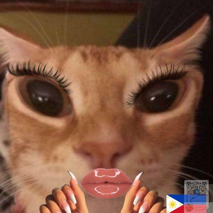 Sự lan tỏa nhanh chóng của hình chế này khiến nhiều group trở nên náo nhiệt