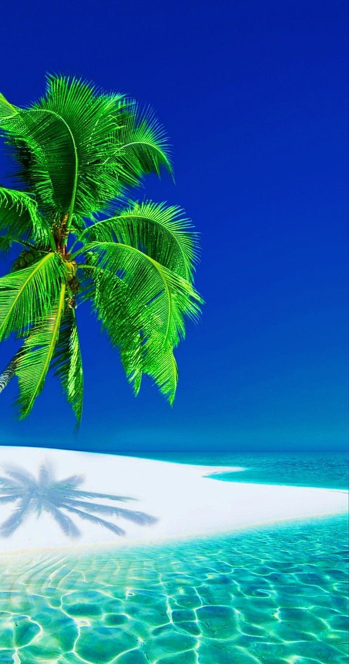 Hình nền biển xanh tươi mát