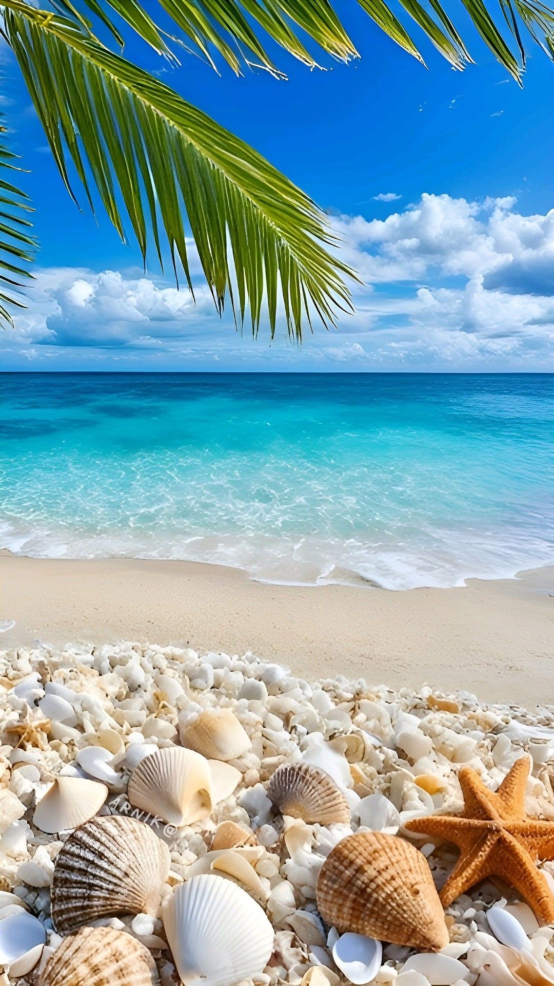 Hình nền biển 4K cho điện thoại