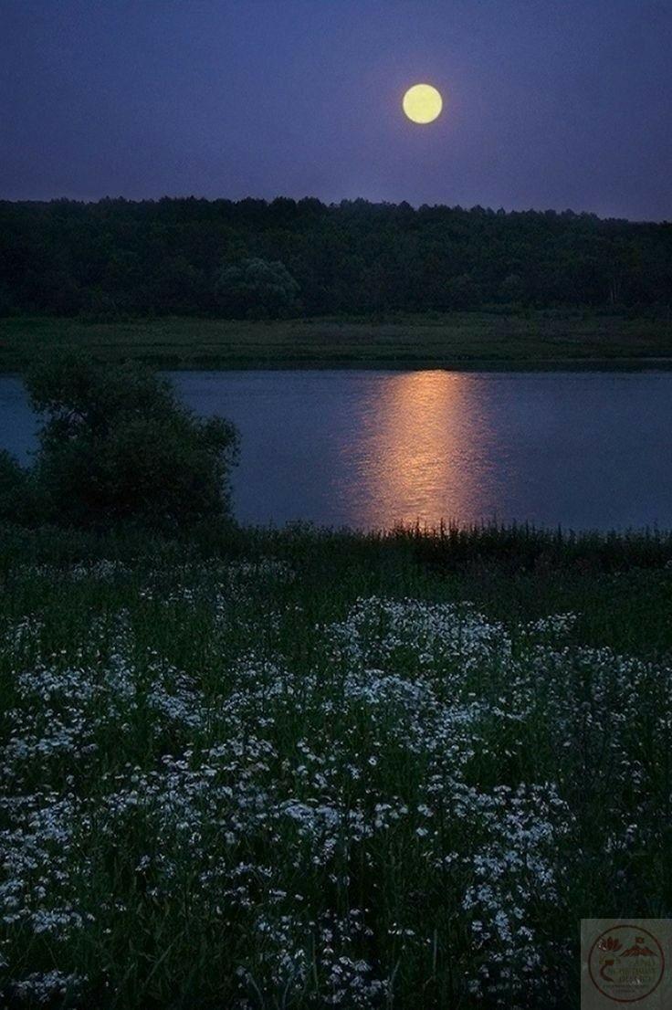 Sự trống trải trong cảnh quan gợi cảm giác mong manh nơi tâm hồn