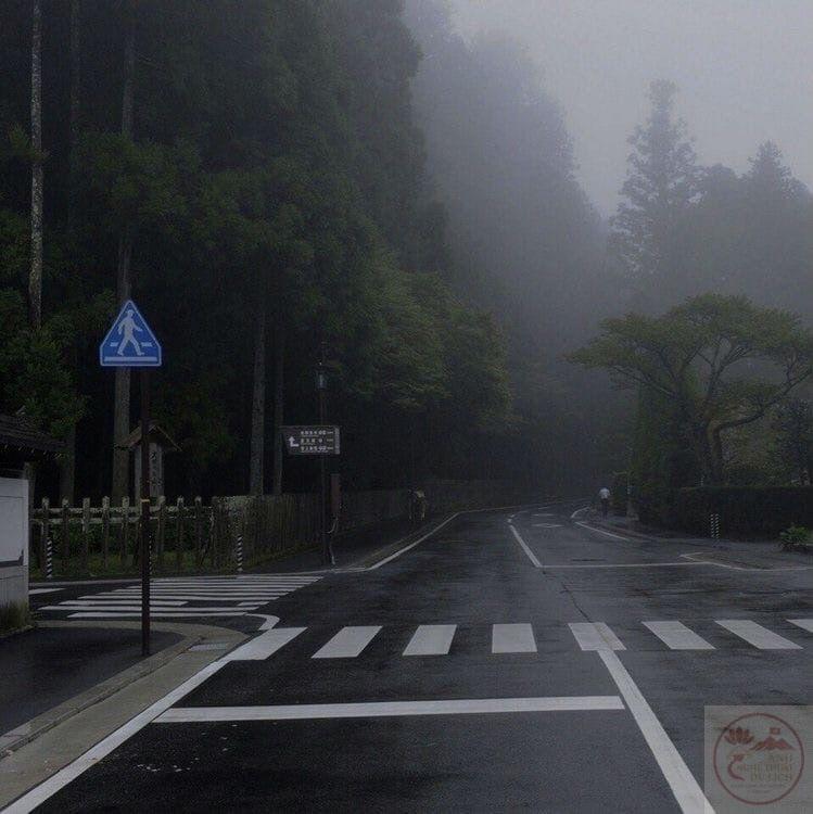 Ảnh phong cảnh chill buồn