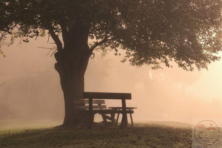 Khoảng trời lặng thinh khiến con người chạm đến sự trầm tư lặng lẽ