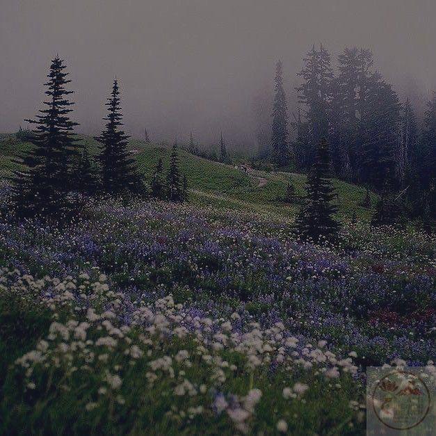 Không gian trầm mặc khơi dậy niềm nhớ nhung chưa từng phai nhạt