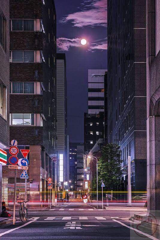 Vẻ đẹp tối giản của đêm khơi dậy nguồn cảm xúc bình lặng