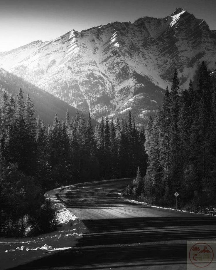 Vẻ đẹp đơn giản đôi khi lại mang đến sức hút mạnh mẽ và tinh tế