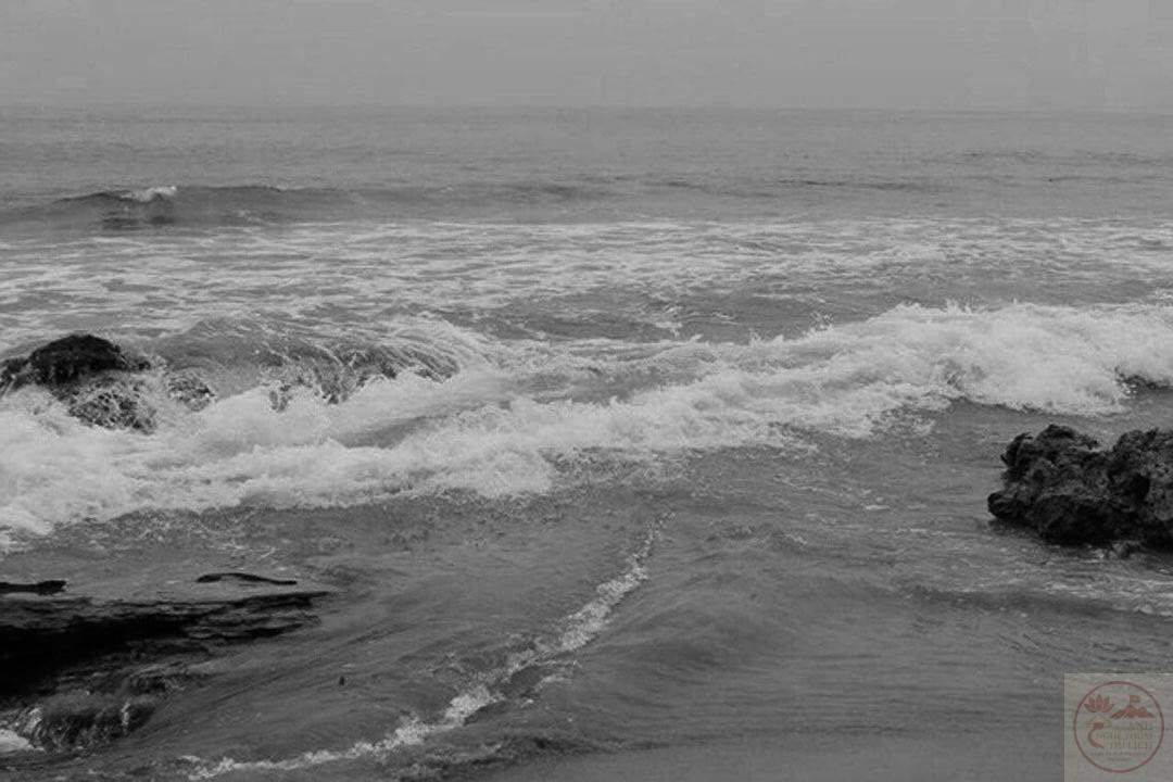 Cảnh vật đơn sắc đưa con người đến với sự sâu lắng khó gọi tên