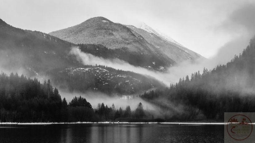 Hình ảnh đơn sắc thường gợi cảm giác hoài niệm và sự tĩnh lặng sâu xa