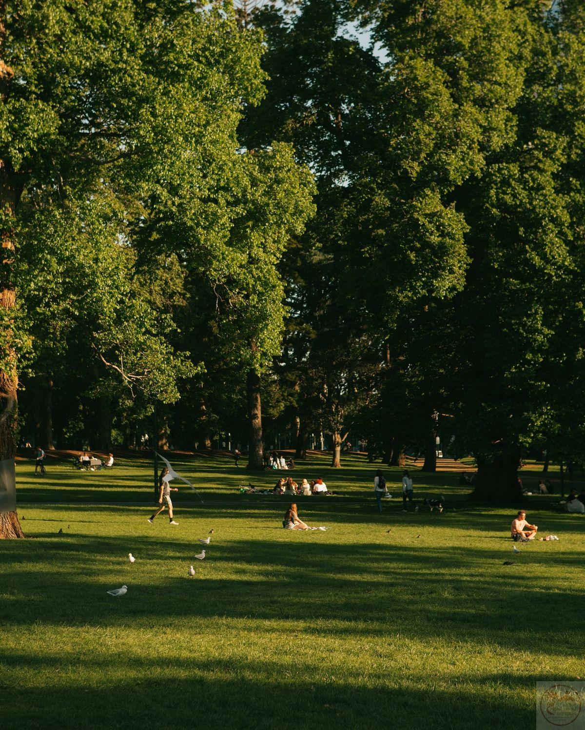 Ảnh phong cảnh chill