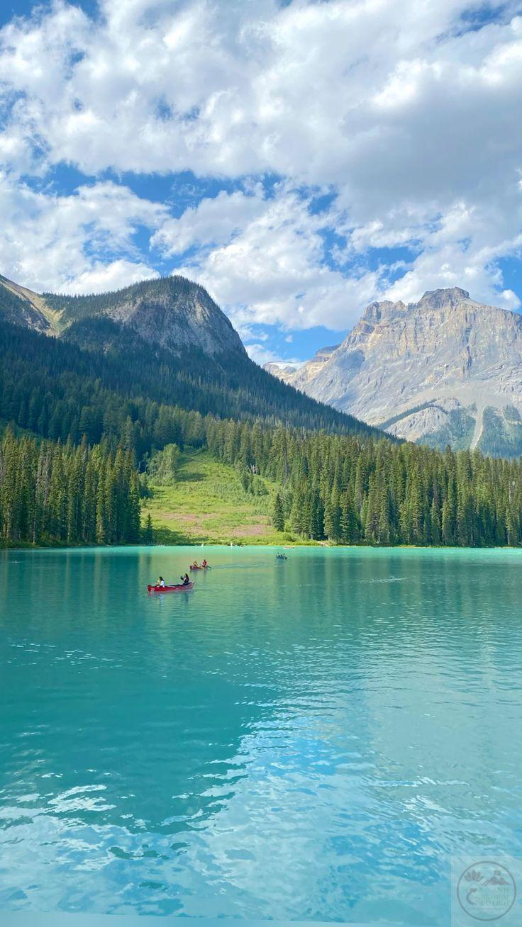 Vẻ đẹp nhẹ nhàng khiến tâm trí thêm trong trẻo và thoải mái hơn