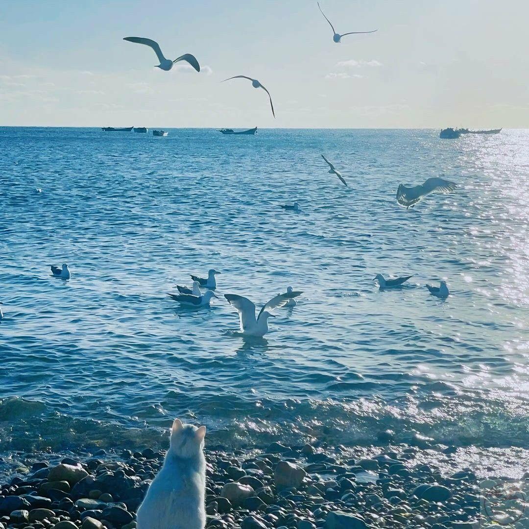 Sự tươi mới trong hình ảnh tạo động lực để bước qua ngày dài