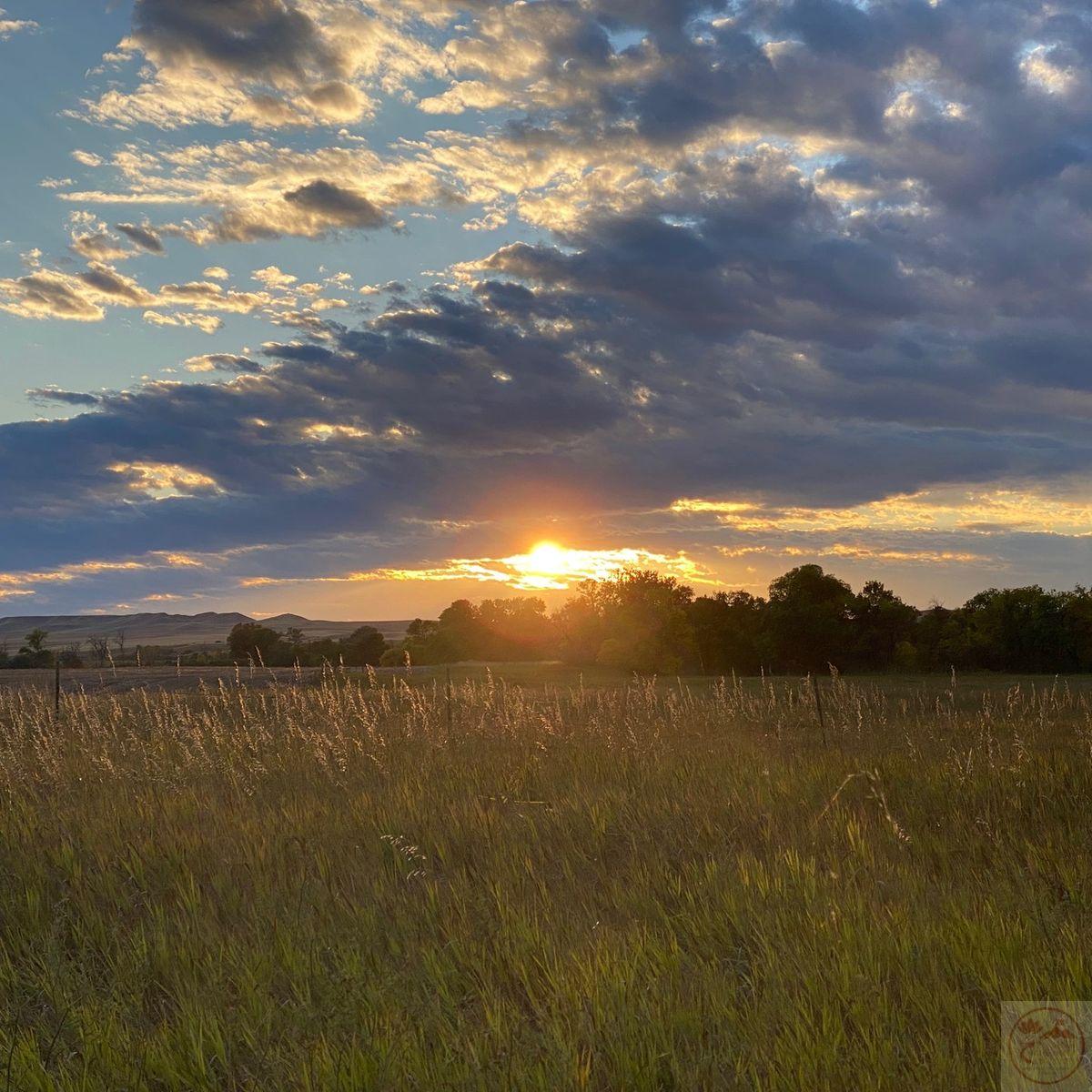 Avatar phong cảnh chill