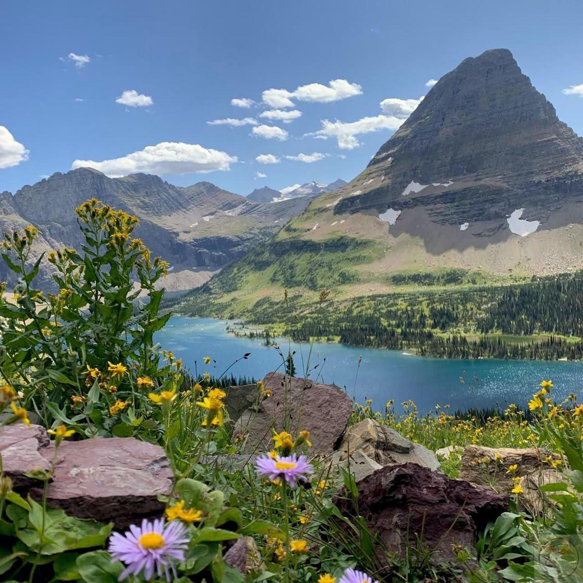 Avatar phong cảnh góp phần khơi dậy niềm vui và tinh thần sống đẹp