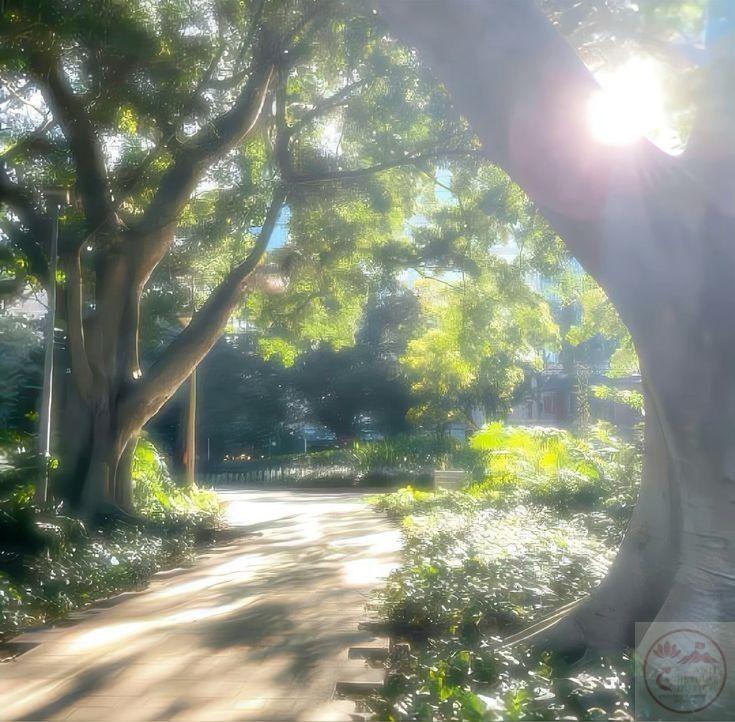 Những khung cảnh trong trẻo mang lại sự an yên và cảm giác thoải mái