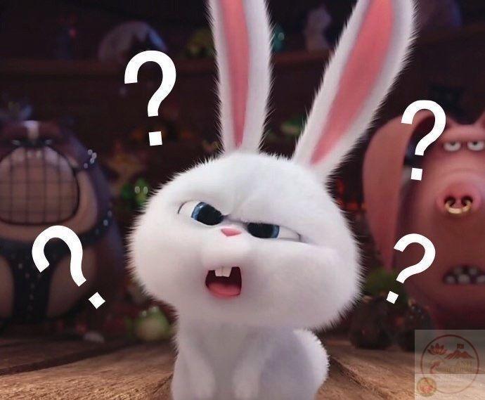 Thỏ Snowball meme