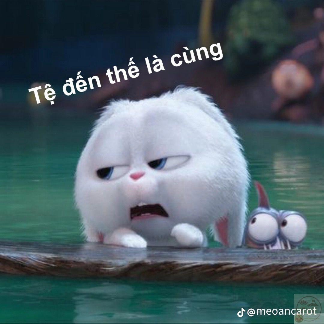 Nội dung chế tạo cảm giác gần gũi khiến ai cũng dễ chấp nhận chia sẻ