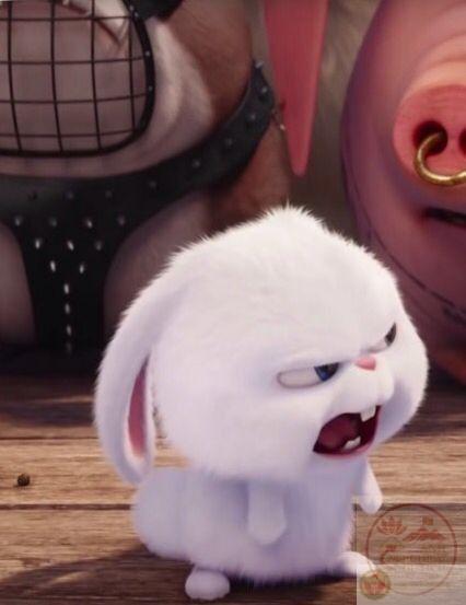 Nội dung chế vui vẻ giúp bạn bè dễ dàng kết nối trong lúc trò chuyện