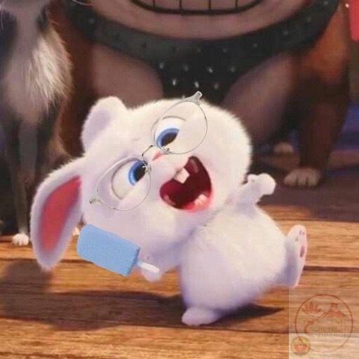 Snowball xuất hiện trong meme luôn làm không khí trò chuyện trở nên nhẹ nhàng