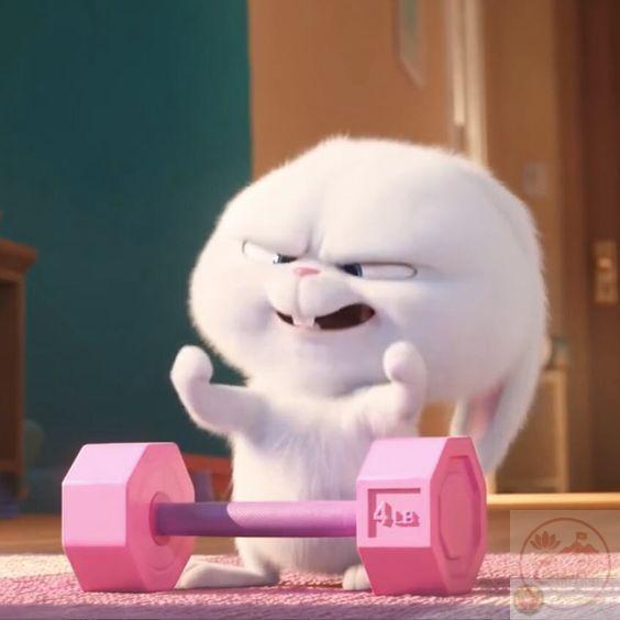 Sự hài hước lan tỏa nhanh chóng qua mỗi caption kèm Snowball meme