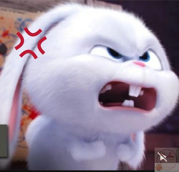 Sự kết hợp giữa đáng yêu và hài hước tạo cảm giác thú vị khó tả