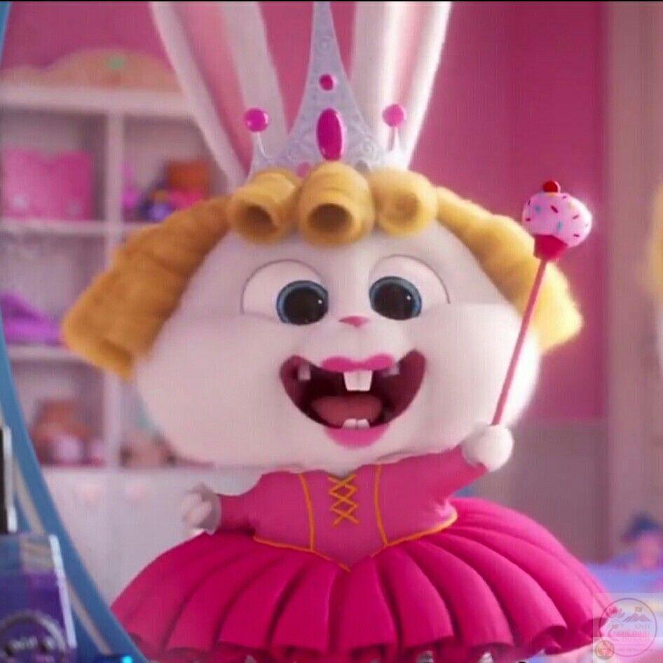 Ảnh thỏ Snowball