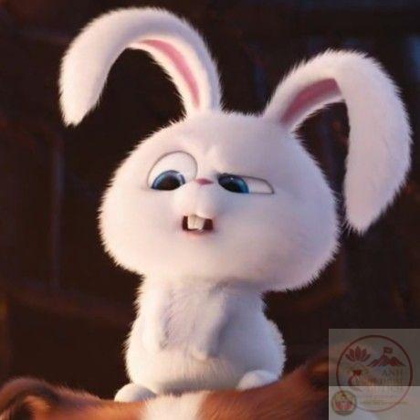 Chỉ cần xuất hiện là meme này đã khiến cuộc trò chuyện sôi nổi hơn