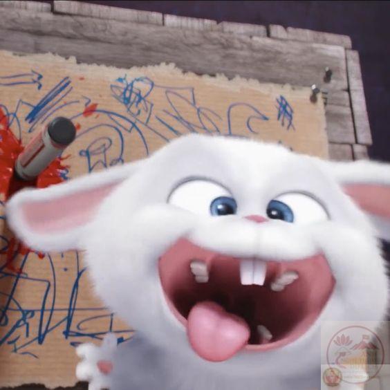 Đầu gấu thỏ Snowball meme