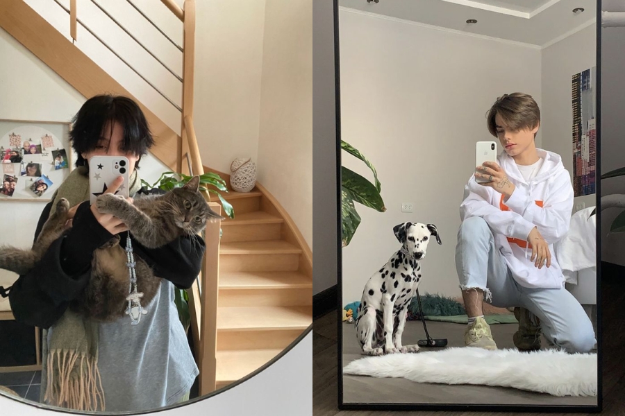 Chụp ảnh selfie với thú cưng trước gương tạo ra những bức ảnh độc đáo và đáng yêu