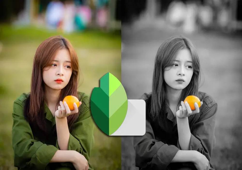 Sử dụng Snapseed để chụp ảnh đen trắng