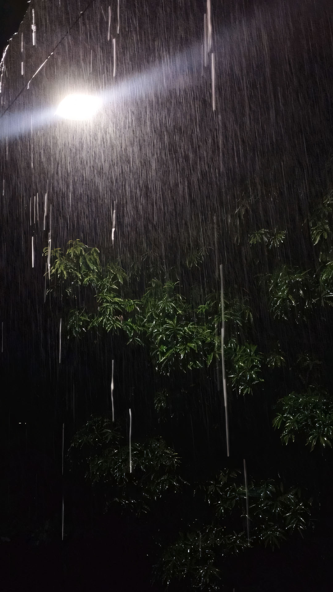 hinh anh mua dem buon 1920px 1080px full hdd 7