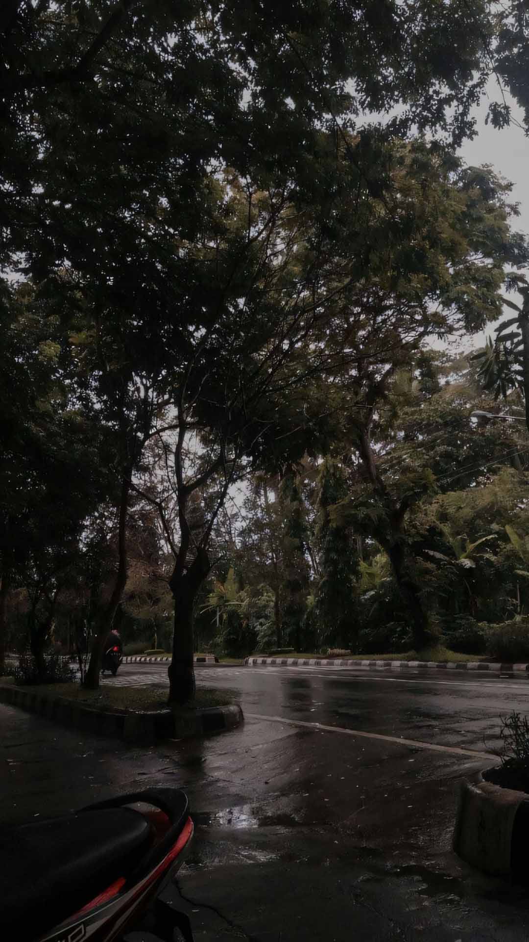 anh mua buon tam trang 1920px 1080px full hdd 4