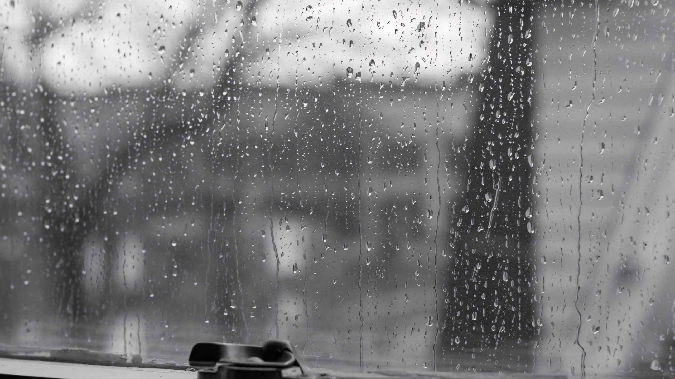 hinh anh mua dep 2560px 1440px 2k 4