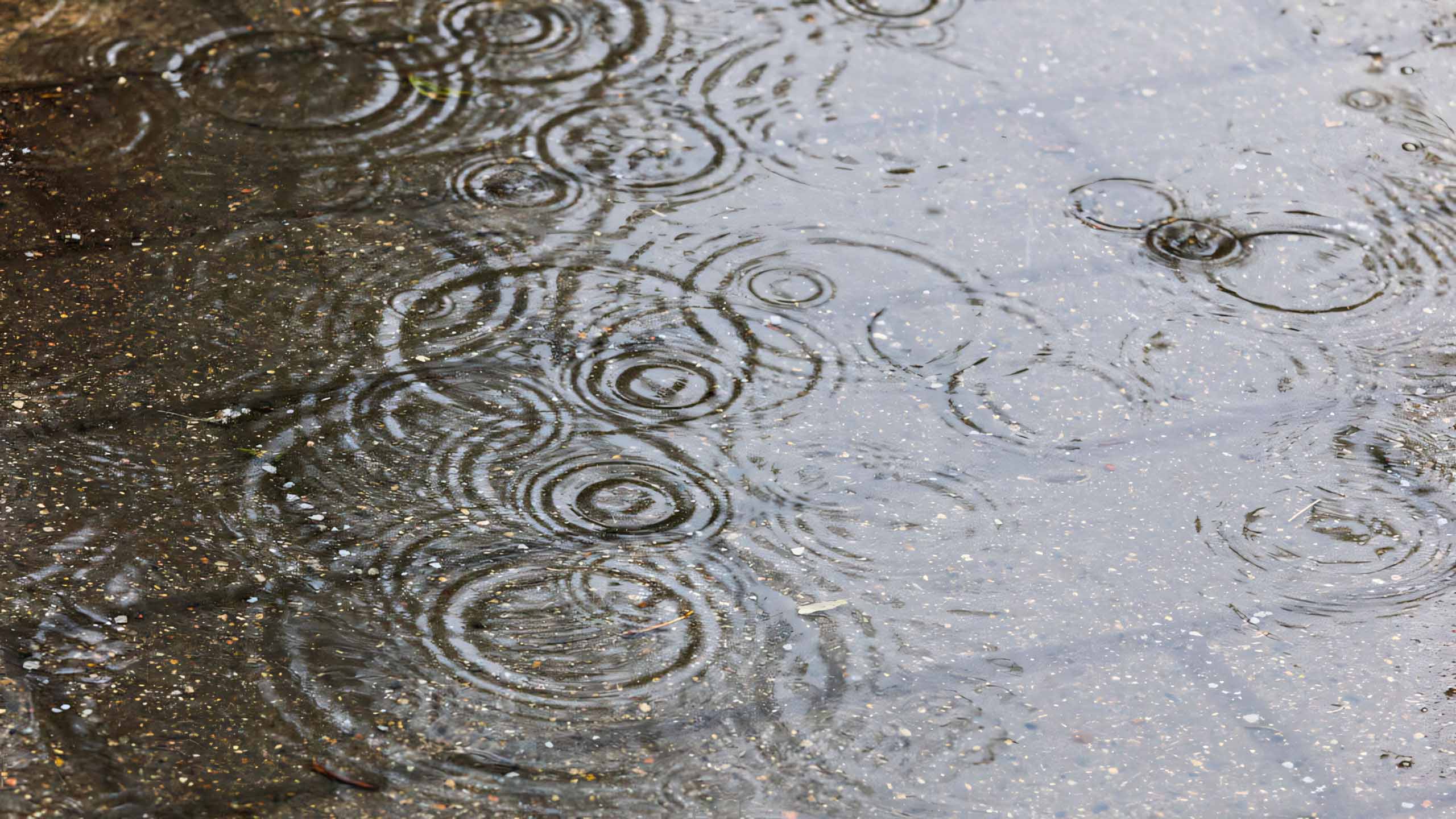 hinh anh mua dep 2560px 1440px 2k 7