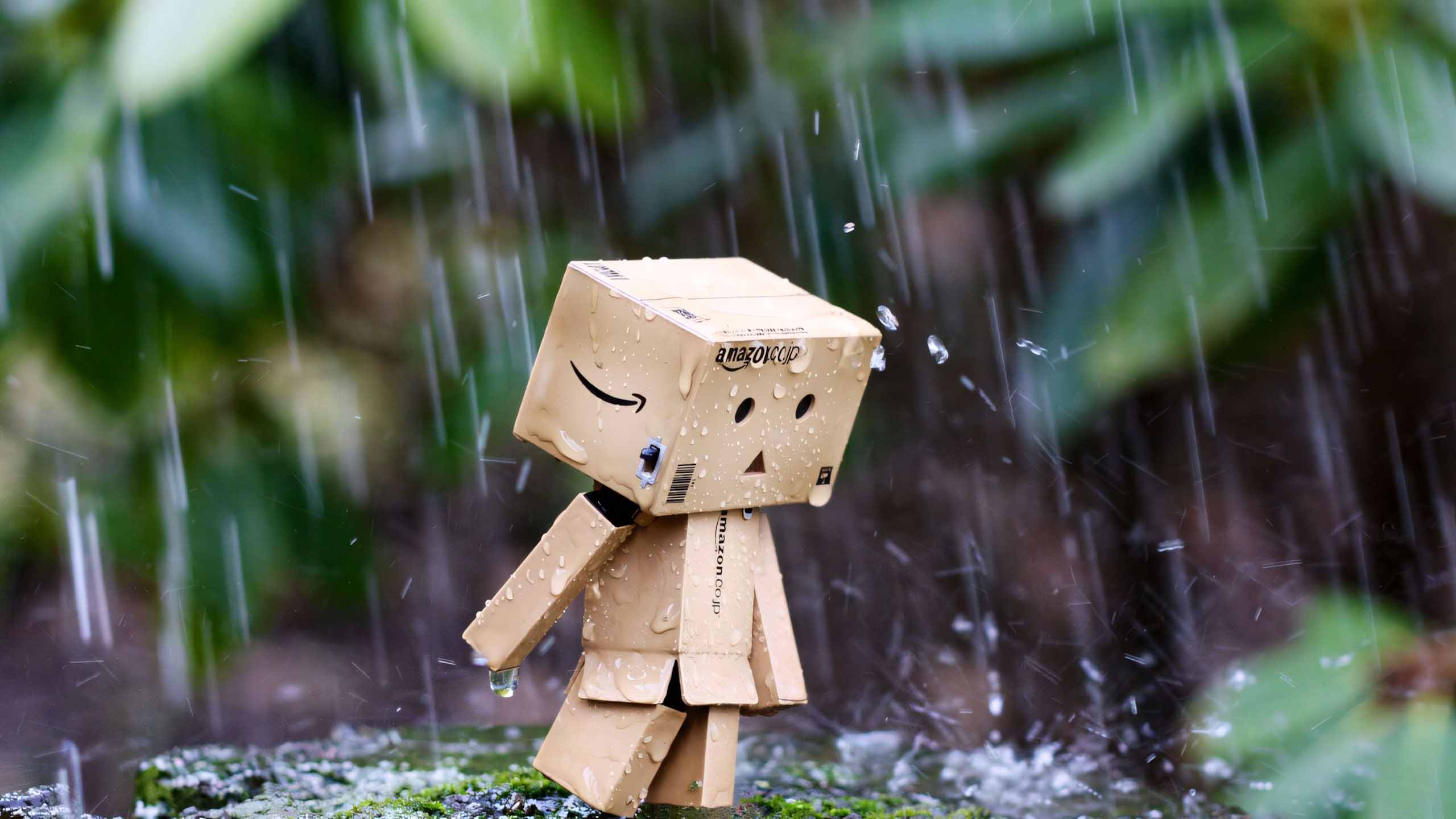 hinh anh mua dep 2560px 1440px 2k 10