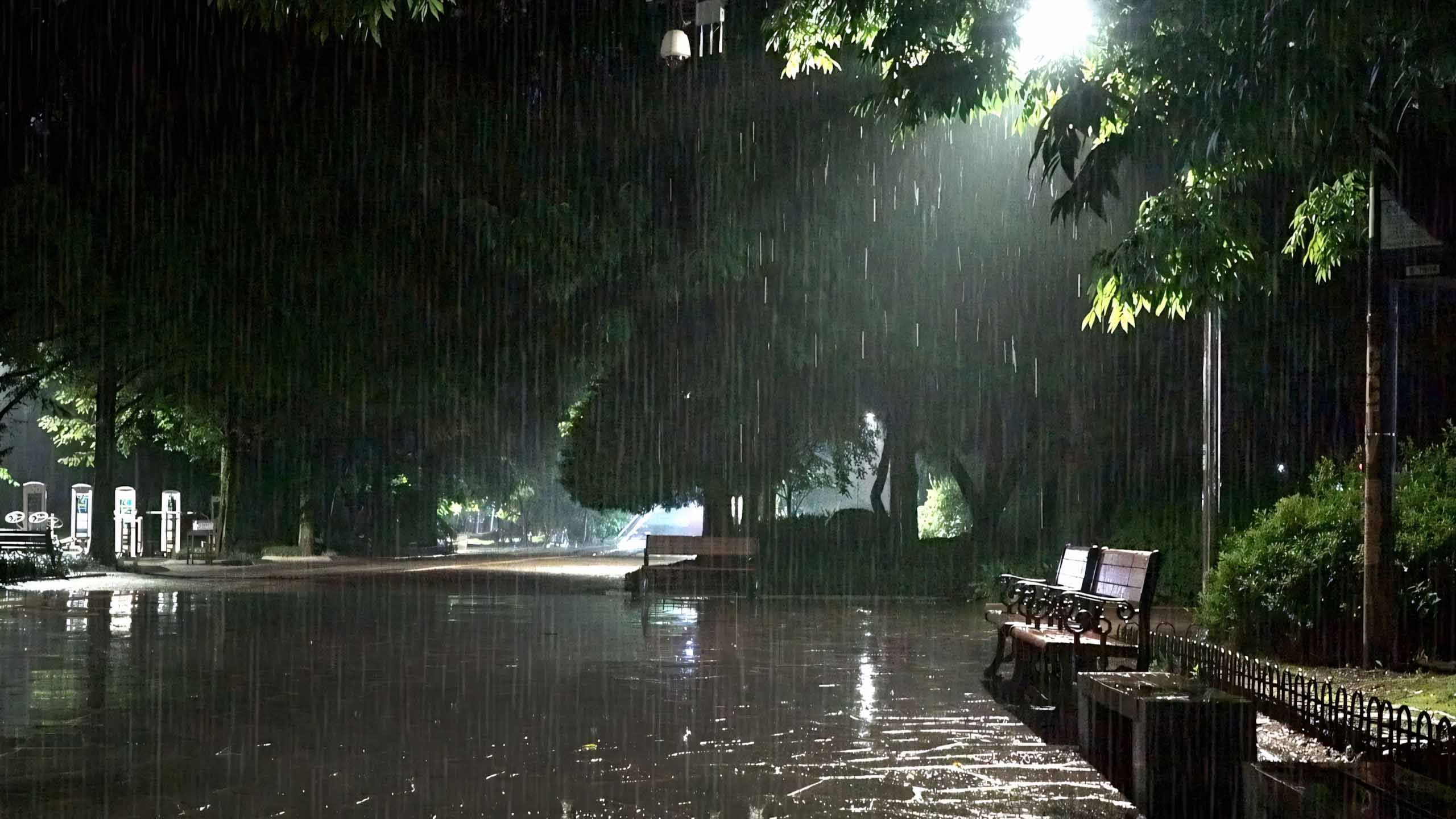 hinh anh mua buon co don 2560px 1440px 2k 2