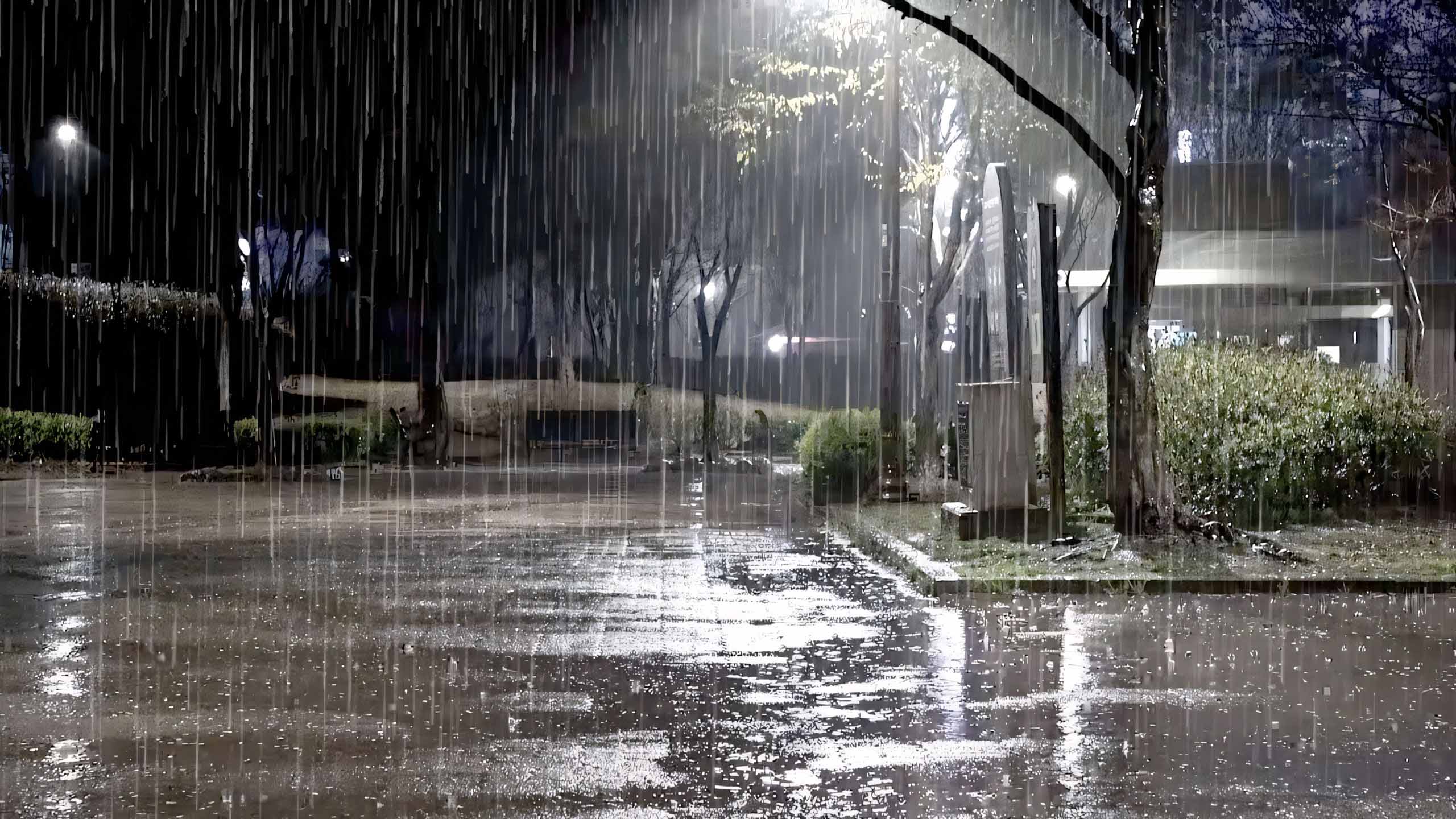 hinh anh mua buon co don 2560px 1440px 2k 5