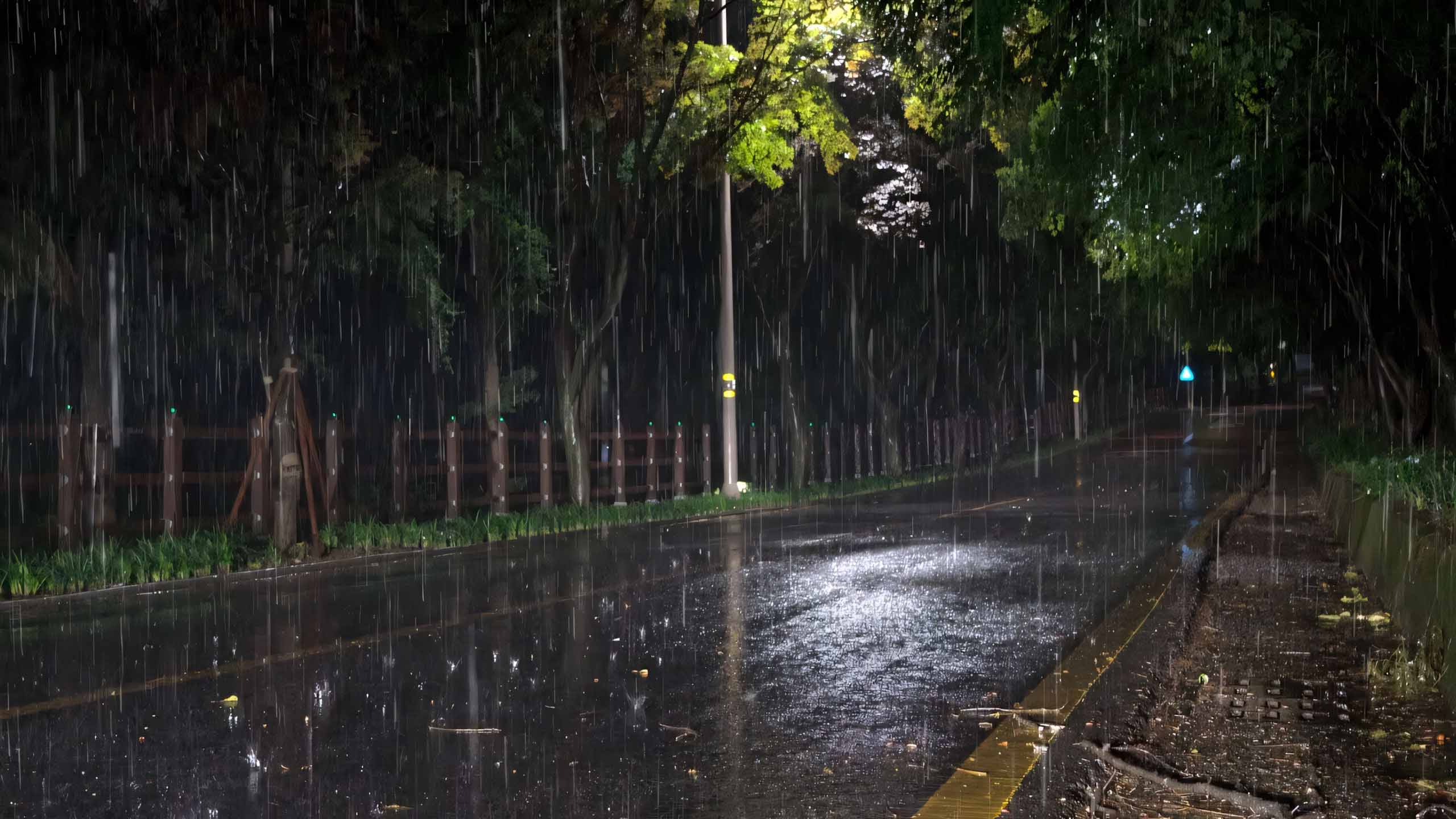 hinh anh mua buon co don 2560px 1440px 2k 7